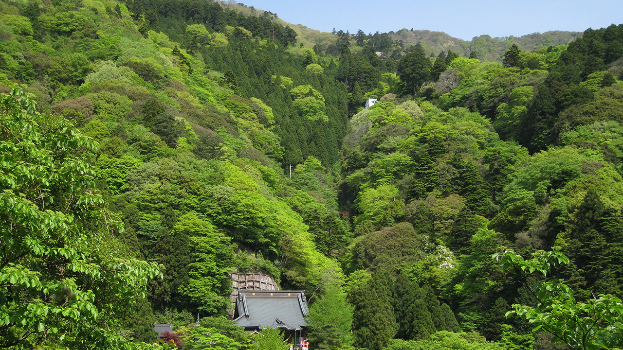 伊勢原市内から望む大山